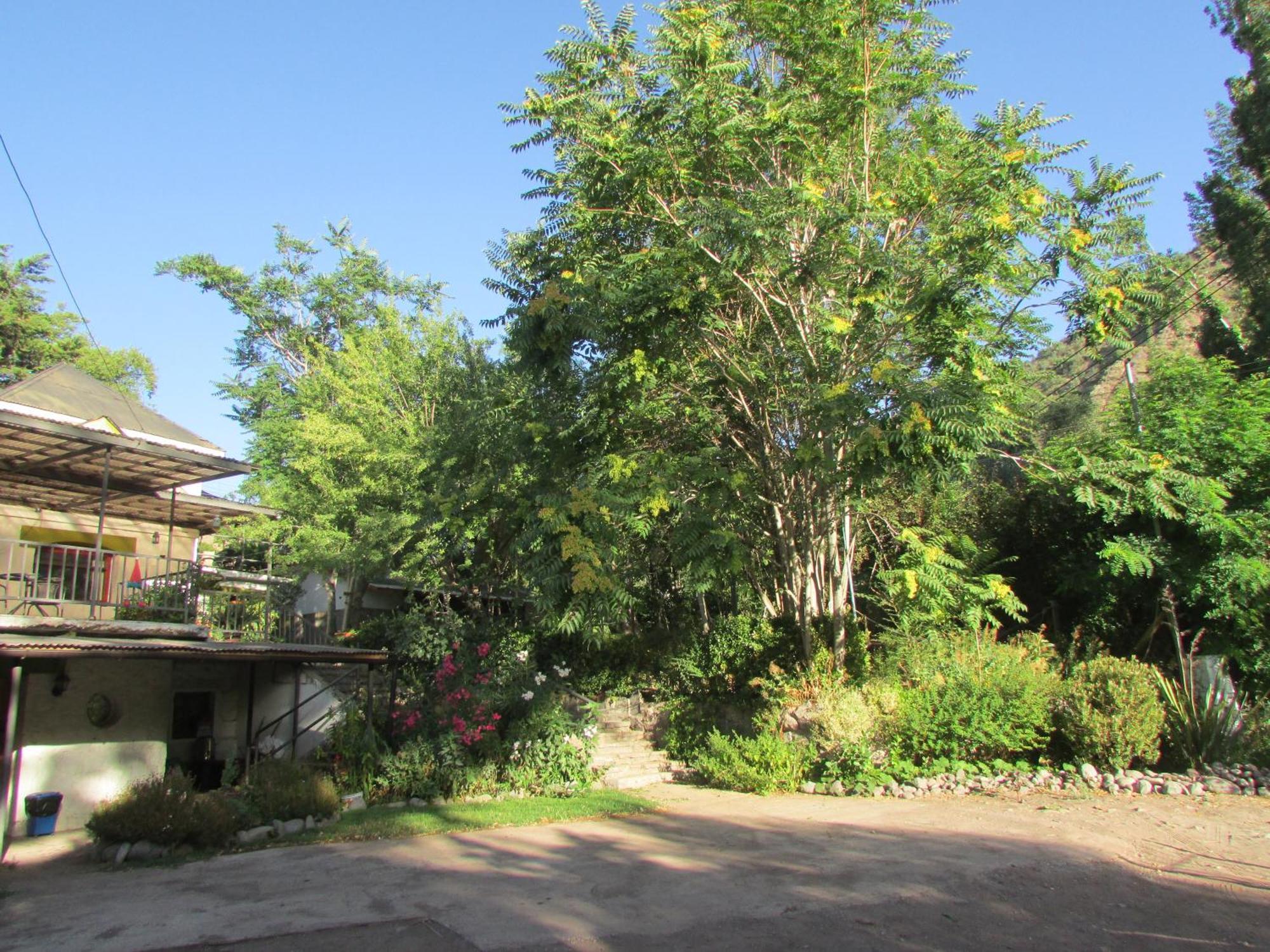 Hostal Los Penones San Alfonso Exterior photo